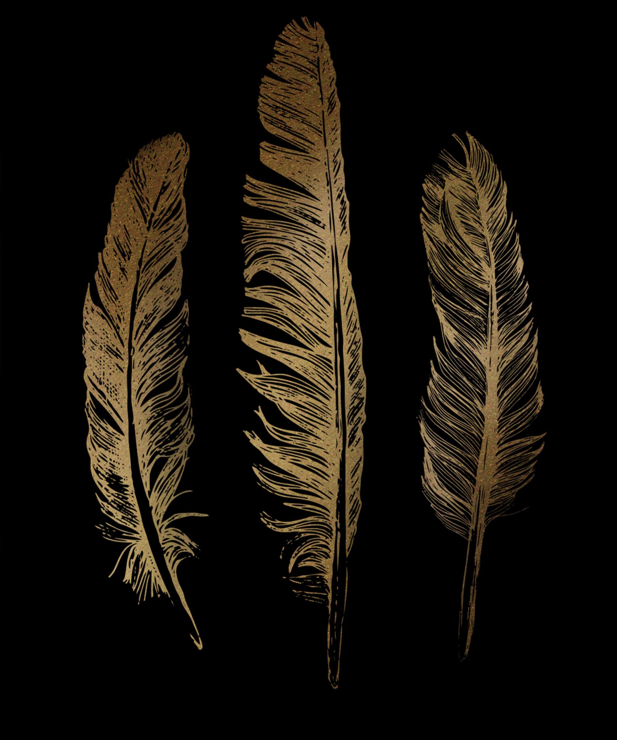 three golden feathers on a black background